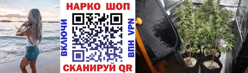 Магазины продажи наркотиков Гатчина СК  Cocaine  Меф мяу мяу  ГАШ 