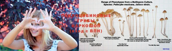 винт Белоозёрский