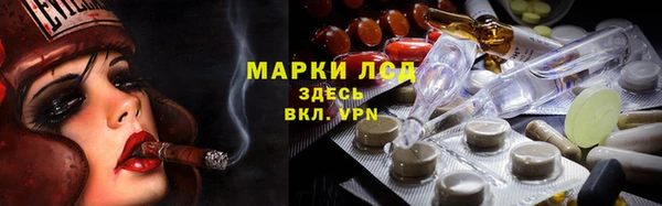 крисы Белокуриха