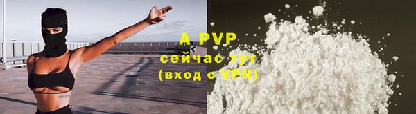 крисы Белокуриха