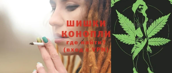 крисы Белокуриха
