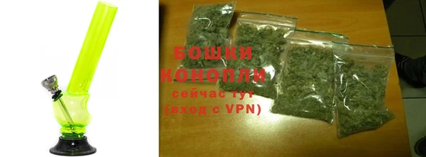 крисы Белокуриха