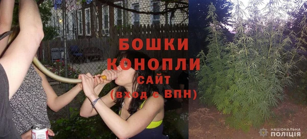 крисы Белокуриха