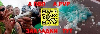 крисы Моздок
