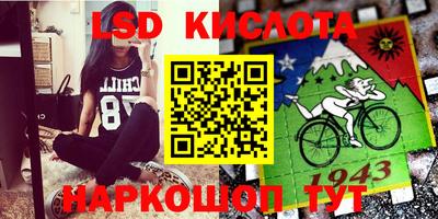 крисы Моздок