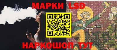 крисы Моздок