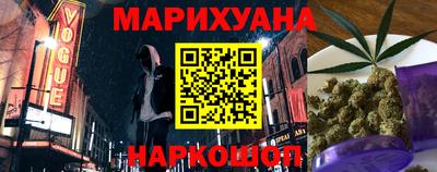крисы Моздок