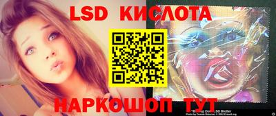 крисы Моздок