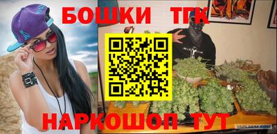 крисы Моздок