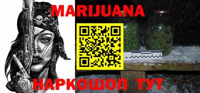 крисы Моздок