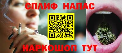 стафф Можга