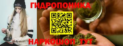 крисы Моздок