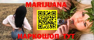 крисы Моздок