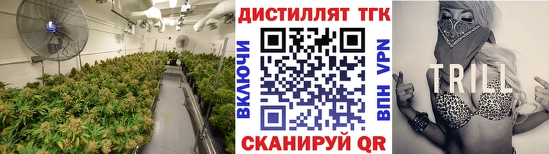 купить закладку  Гатчина  ТГК THC oil 