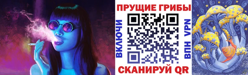 Галлюциногенные грибы Cubensis цены Гатчина