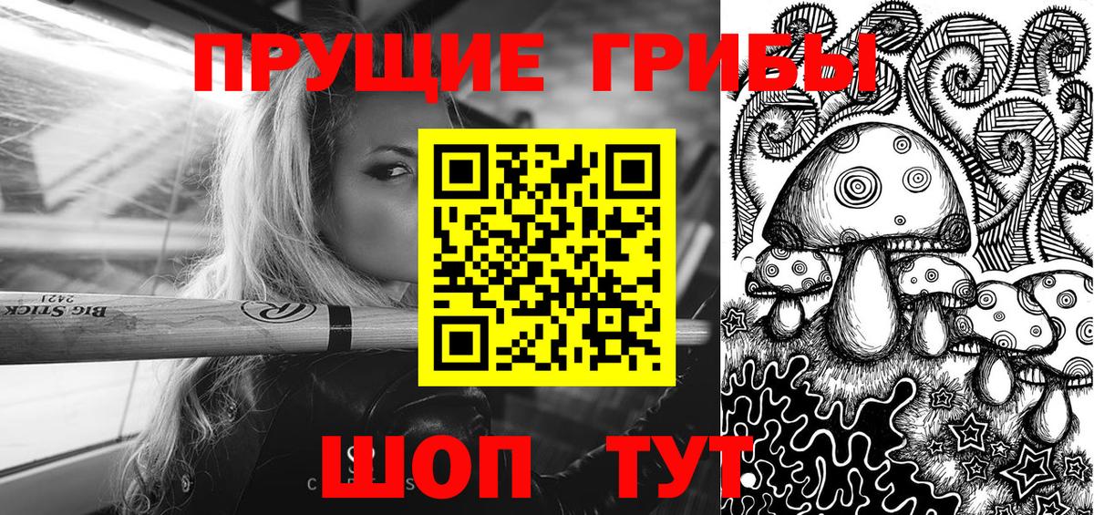 Гатчина  Галлюциногенные грибы Psilocybe  Вход с VPN 