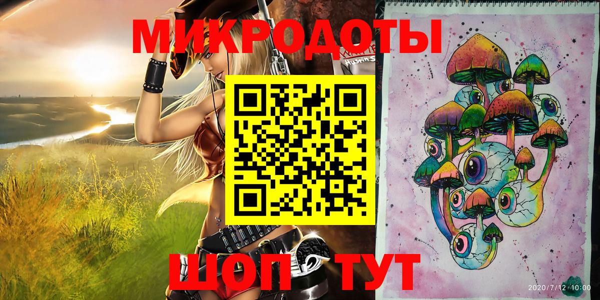 Галлюциногенные грибы Psilocybine cubensis Гатчина