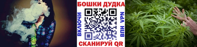 купить наркотики цена  Гатчина  Шишки марихуана OG Kush 