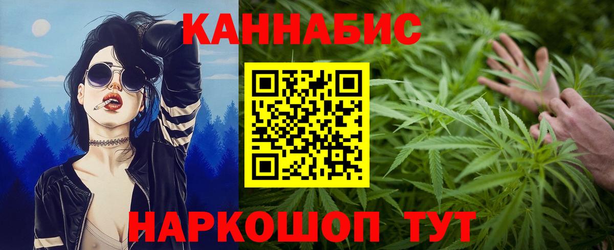 МАРИХУАНА сатива Гатчина
